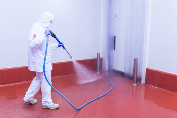 Professional Pressure Washing Services in Newberry, SC